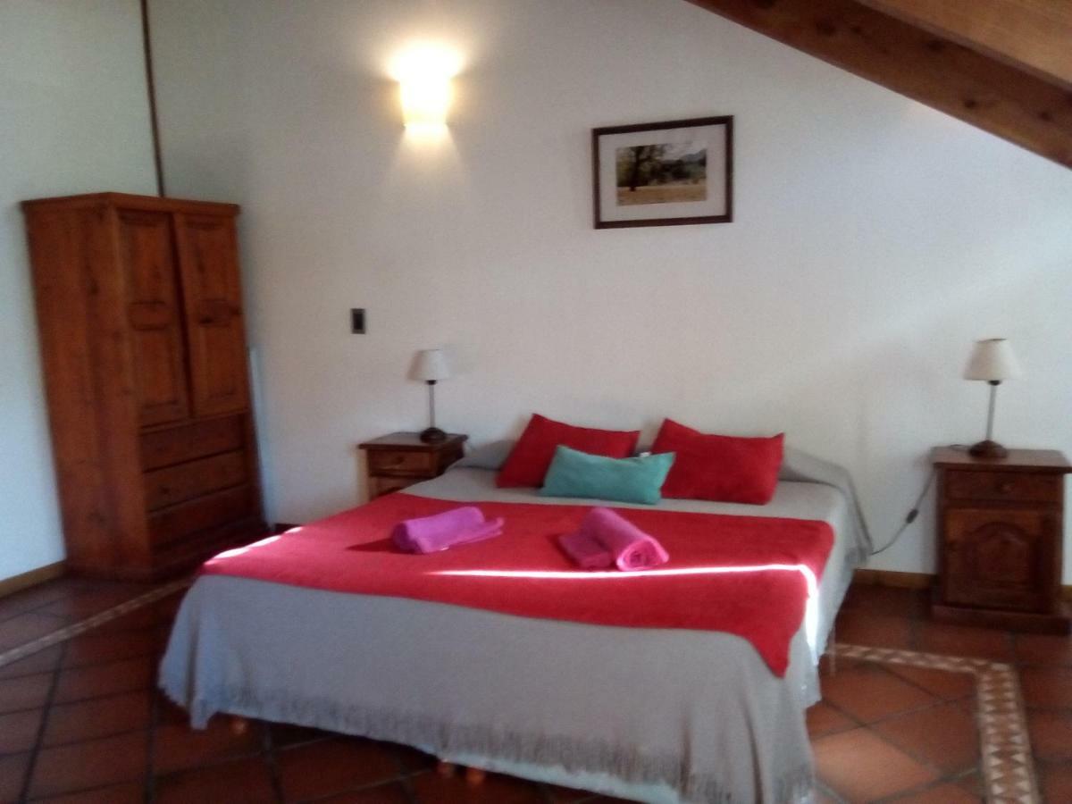 Departamento En Apart Pequena Comarca Apartament San Martín de los Andes Zewnętrze zdjęcie